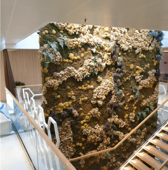 Impression Cruise Ship Refit